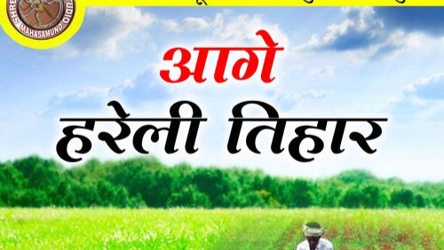 आगे हरेली तिहार